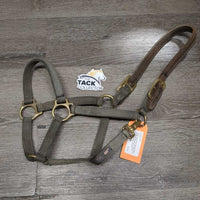Thick Narrow Nylon Halter, Leather Crown *gc, dirt, stiff, faded, discolored, stains, dry/cracking leather , older
