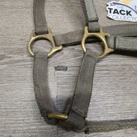Thick Narrow Nylon Halter, Leather Crown *gc, dirt, stiff, faded, discolored, stains, dry/cracking leather , older
