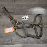 Thick Narrow Nylon Halter, Leather Crown *gc, dirt, stiff, faded, discolored, stains, dry/cracking leather , older
