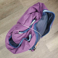 250g Winter Blanket, tail *vgc, clean, wpf, mnr stains, snags, rubs, faded, v. mnr repair
