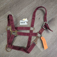 Stiff Nylon Halter, Slip Noseband, spring snap *gc, rusty, clean, stains, edge frays
