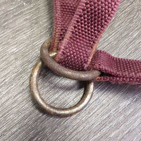 Stiff Nylon Halter, Slip Noseband, spring snap *gc, rusty, clean, stains, edge frays

