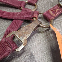 Stiff Nylon Halter, Slip Noseband, spring snap *gc, rusty, clean, stains, edge frays
