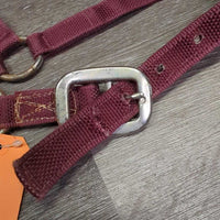 Stiff Nylon Halter, Slip Noseband, spring snap *gc, rusty, clean, stains, edge frays
