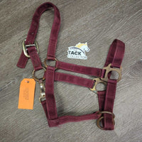 Stiff Nylon Halter, Slip Noseband, spring snap *gc, rusty, clean, stains, edge frays
