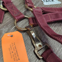 Stiff Nylon Halter, Slip Noseband, spring snap *gc, rusty, clean, stains, edge frays
