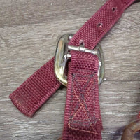 Stiff Nylon Halter, Slip Noseband, spring snap *gc, rusty, clean, stains, edge frays
