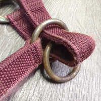 Stiff Nylon Halter, Slip Noseband, spring snap *gc, rusty, clean, stains, edge frays
