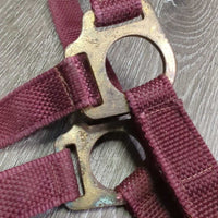 Stiff Nylon Halter, Slip Noseband, spring snap *gc, rusty, clean, stains, edge frays
