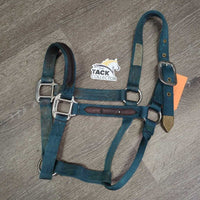 Thick Nylon & Leather Trim Halter *gc, dirty, nameplate rivet & hole, edge rubs & frays
