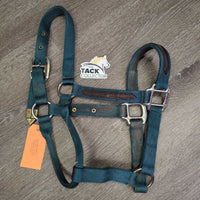 Thick Nylon & Leather Trim Halter *gc, dirty, nameplate rivet & hole, edge rubs & frays
