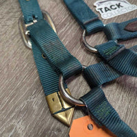 Thick Nylon & Leather Trim Halter *gc, dirty, nameplate rivet & hole, edge rubs & frays
