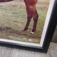 "Larry Harris" 1977 34th Alberta Light Horse Assoc Photo, Wood Frame *vgc, mnr scratches
