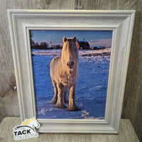 Draft?Gypsy Vanner Horse Photo, Wood Frame *gc, v.scraped edges
