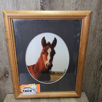 Chestnut Foal Photo, Matted, Hvy Wood Frame *vgc, dusty, mnr scrapes & scratches
