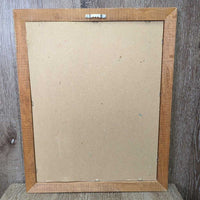 Chestnut Foal Photo, Matted, Hvy Wood Frame *vgc, dusty, mnr scrapes & scratches
