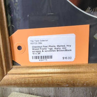 Chestnut Foal Photo, Matted, Hvy Wood Frame *vgc, dusty, mnr scrapes & scratches
