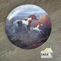 "Desert Shadows" #1750A by Chuck De Haan Unbridled Spirit Collection Decorative Plate *gc, rubs, dirt
