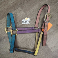 Stiff Thick Nylon Halter *gc/fair, dirty, stains, older, edge rubs
