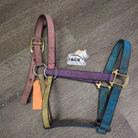 Stiff Thick Nylon Halter *gc/fair, dirty, stains, older, edge rubs
