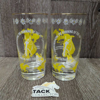 Vintage 2 Glasses "Northland Parks 1969" *vgc

