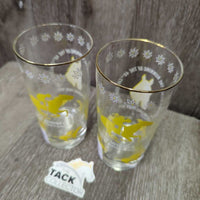 Vintage 2 Glasses "Northland Parks 1969" *vgc
