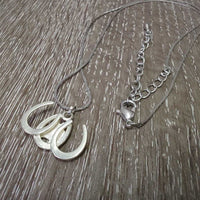Horse Head Necklace, earrings, velvet box *xc
