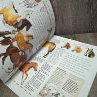 The World of Horses by Jackie Budd *gc, rubs, scrapes, bent & dirty corners
