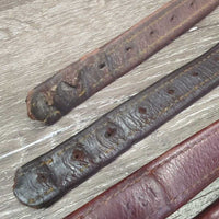 Cwd?Antares Soft Nylon Lined Stirrup Leathers *gc/fair, rubs, stains, scrapes, torn/unstitched edges, cut, dents
