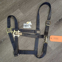 Nylon Halter, snap *gc/fair, v.dirty, v.stained, faded
