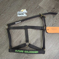 Stiff Nylon Halter, "Future GoldDigger" embrolidery *vgc, mnr dirt/residue
