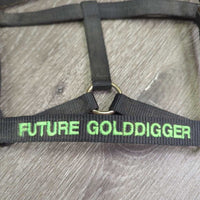 Stiff Nylon Halter, "Future GoldDigger" embrolidery *vgc, mnr dirt/residue
