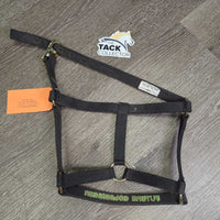 Stiff Nylon Halter, "Future GoldDigger" embrolidery *vgc, mnr dirt/residue
