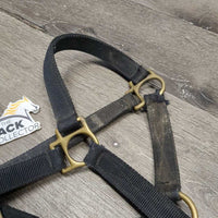 Thick Nylon Halter, hvy hardware - snap *gc/fair, clean & dirty, rubs, frays, faded
