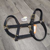 Thick Nylon Halter, hvy hardware - snap *gc/fair, clean & dirty, rubs, frays, faded

