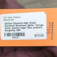 High Waist Euroseat Breeches, glitter *xc/vgc, clean, pocket edge rubs, puckers
