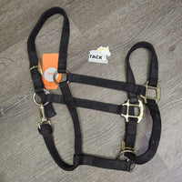 Narrow Thick Soft Nylon Halter, adj, snap *gc, mnr dirt, edge rubs, xholes
