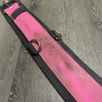 Nylon Neoprene Cinch, d rings, keeper *gc, clean, residue, stained, dirt, rust, cracked liner
