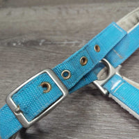 Nylon Halter *gc, older, hair, dingy, mnr dirt, faded, hair, rubs, rust, snags
