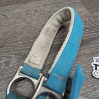 Nylon Halter *gc, older, hair, dingy, mnr dirt, faded, hair, rubs, rust, snags
