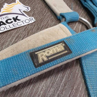 Nylon Halter *gc, older, hair, dingy, mnr dirt, faded, hair, rubs, rust, snags
