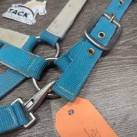 Nylon Halter *gc, older, hair, dingy, mnr dirt, faded, hair, rubs, rust, snags
