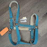 Nylon Halter *gc, older, hair, dingy, mnr dirt, faded, hair, rubs, rust, snags
