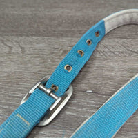 Nylon Halter *gc, older, hair, dingy, mnr dirt, faded, hair, rubs, rust, snags
