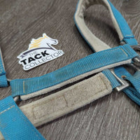 Nylon Halter *gc, older, hair, dingy, mnr dirt, faded, hair, rubs, rust, snags
