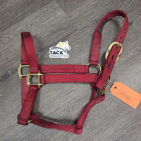 Stiff Nylon Halter, snap *gc, marker, mnr dirt
