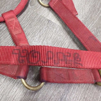 Stiff Nylon Halter, snap *gc, marker, mnr dirt
