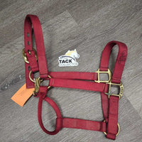 Stiff Nylon Halter, snap *gc, marker, mnr dirt
