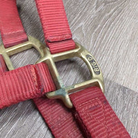 Stiff Nylon Halter, snap *gc, marker, mnr dirt
