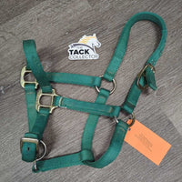 Nylon Halter, adj *gc, stiff, mnr dirt, snags, fading, rubs, frays
